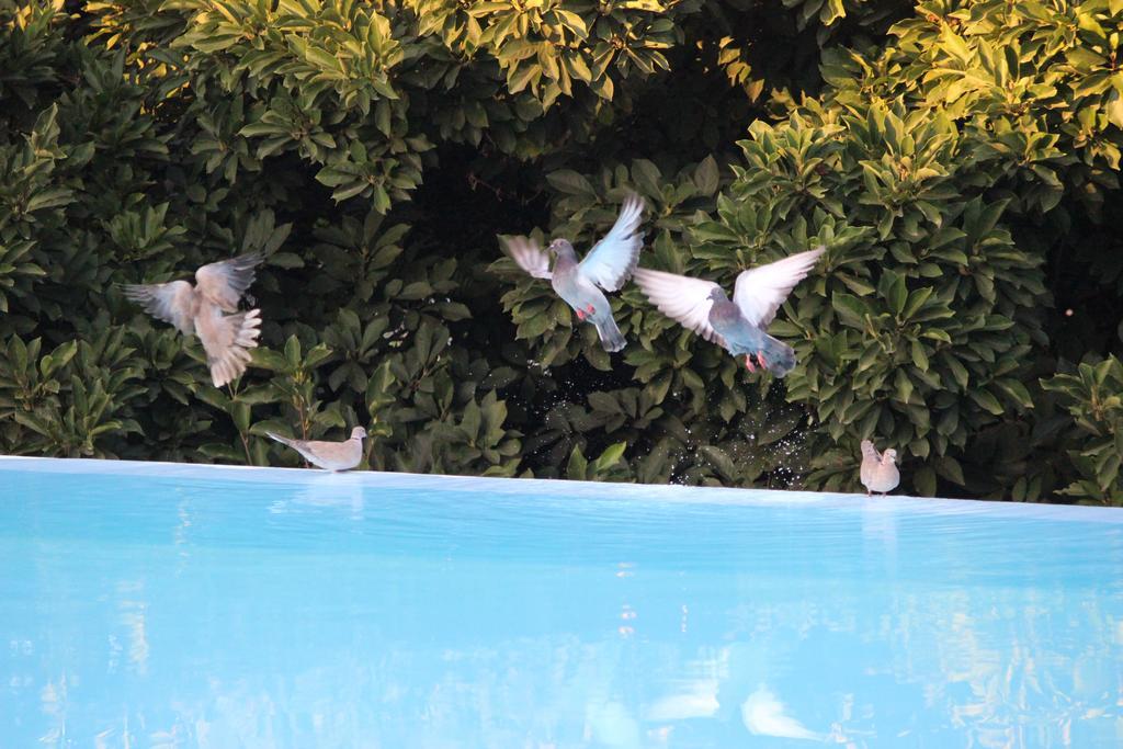 Bed and Breakfast Estrebuela House Paredes  Esterno foto